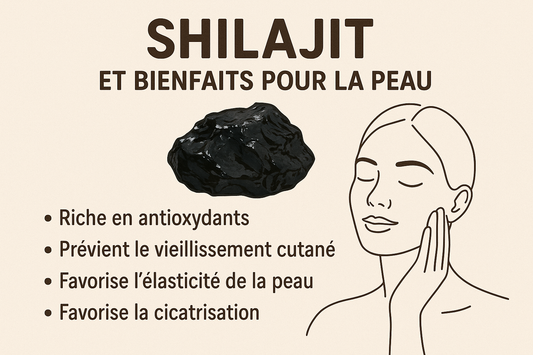Shilajit et bienfaits pour la peau : le pouvoir naturel d’une résine millénaire