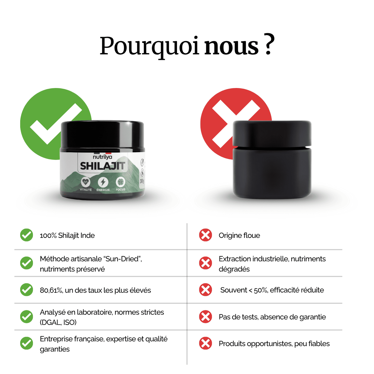 Shilajit Résine 30g