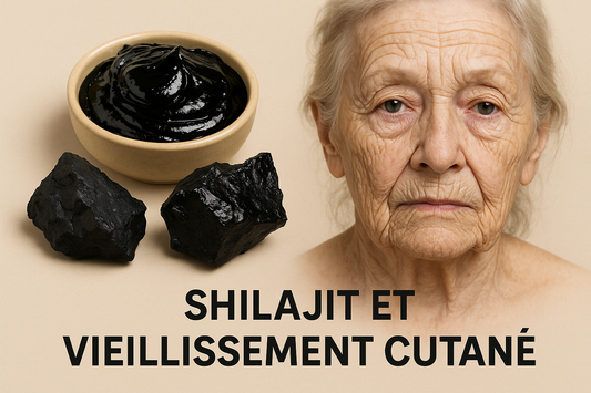 shilajit et vieillissement cutané