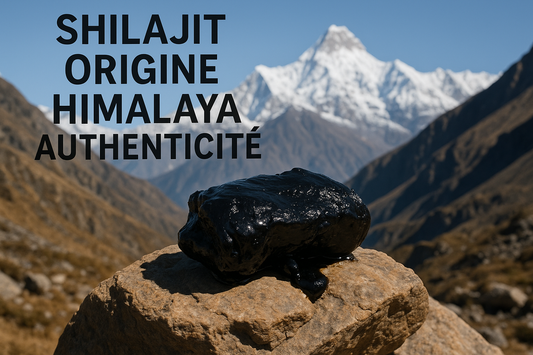 shilajit origine Himalaya authenticité