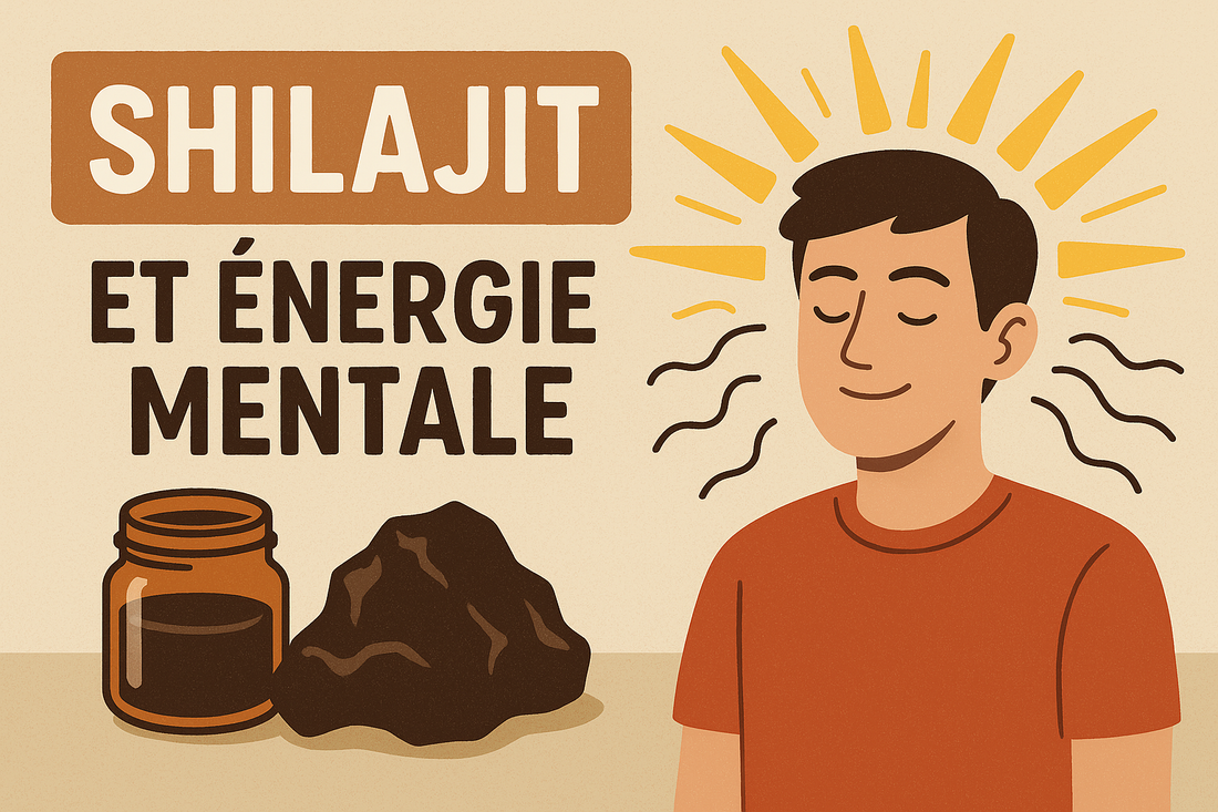 shilajit et énergie mentale