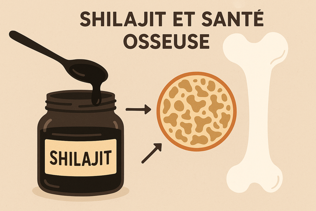 shilajit et santé osseuse