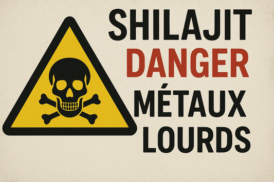 shilajit danger métaux lourds