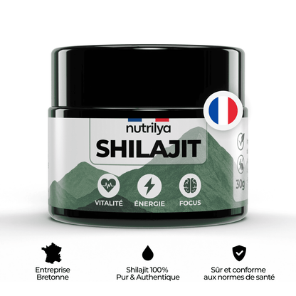Shilajit Résine