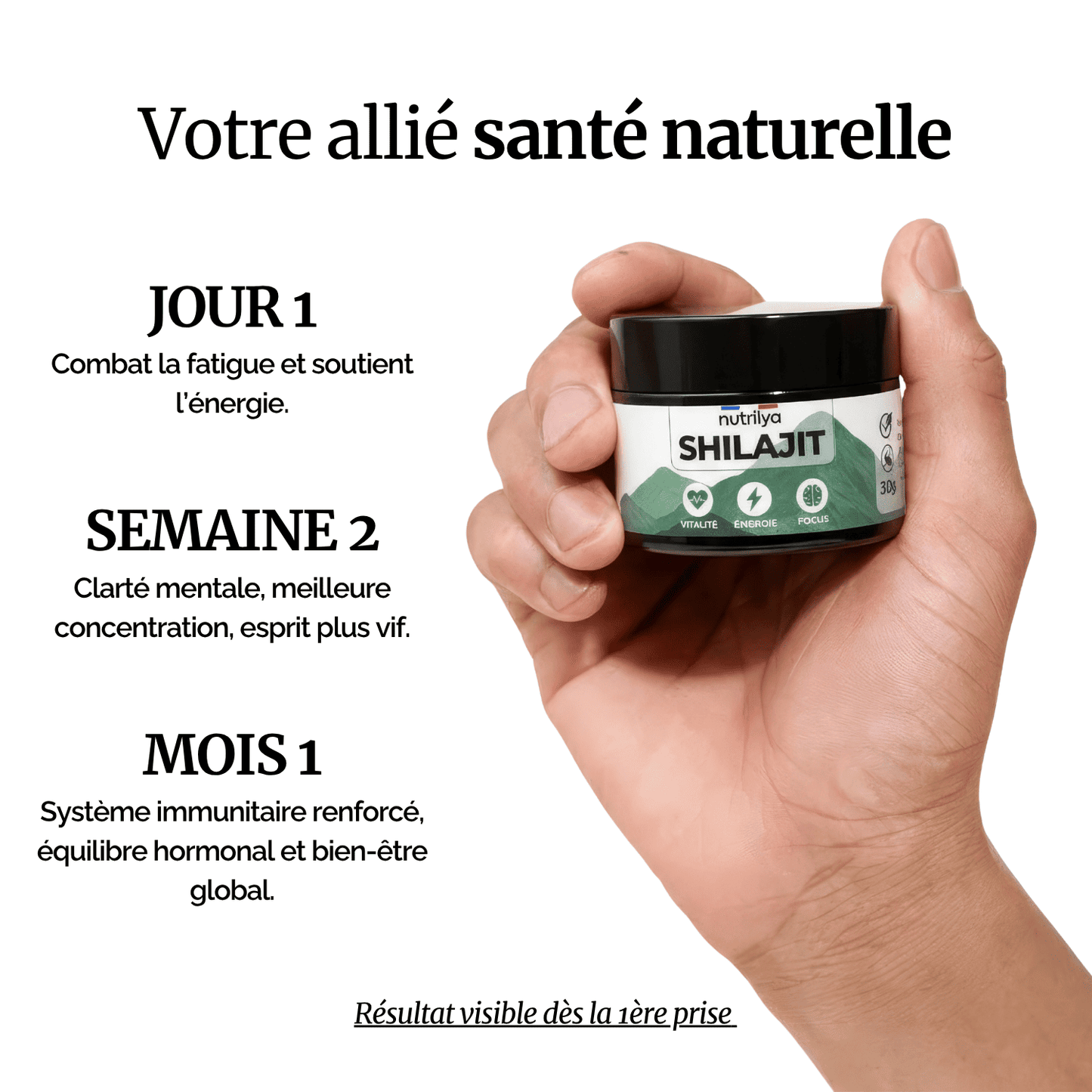 Shilajit Résine 30g