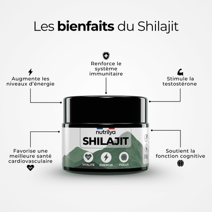 Shilajit Résine