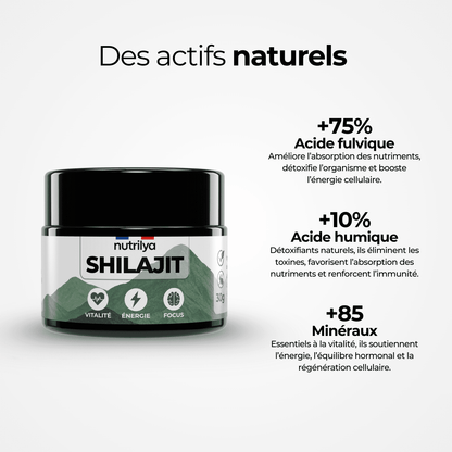 Shilajit Résine