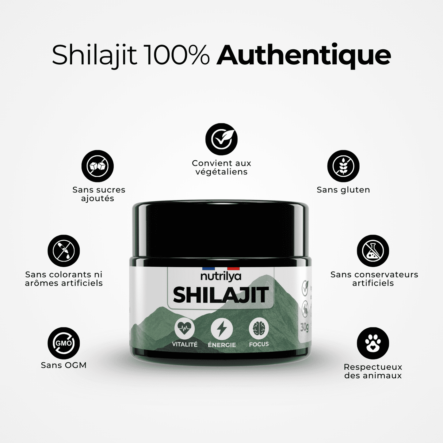 Shilajit Résine
