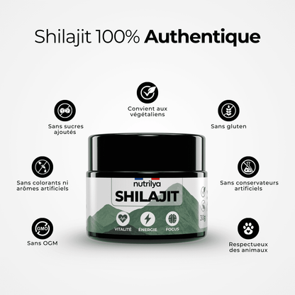 Shilajit Résine