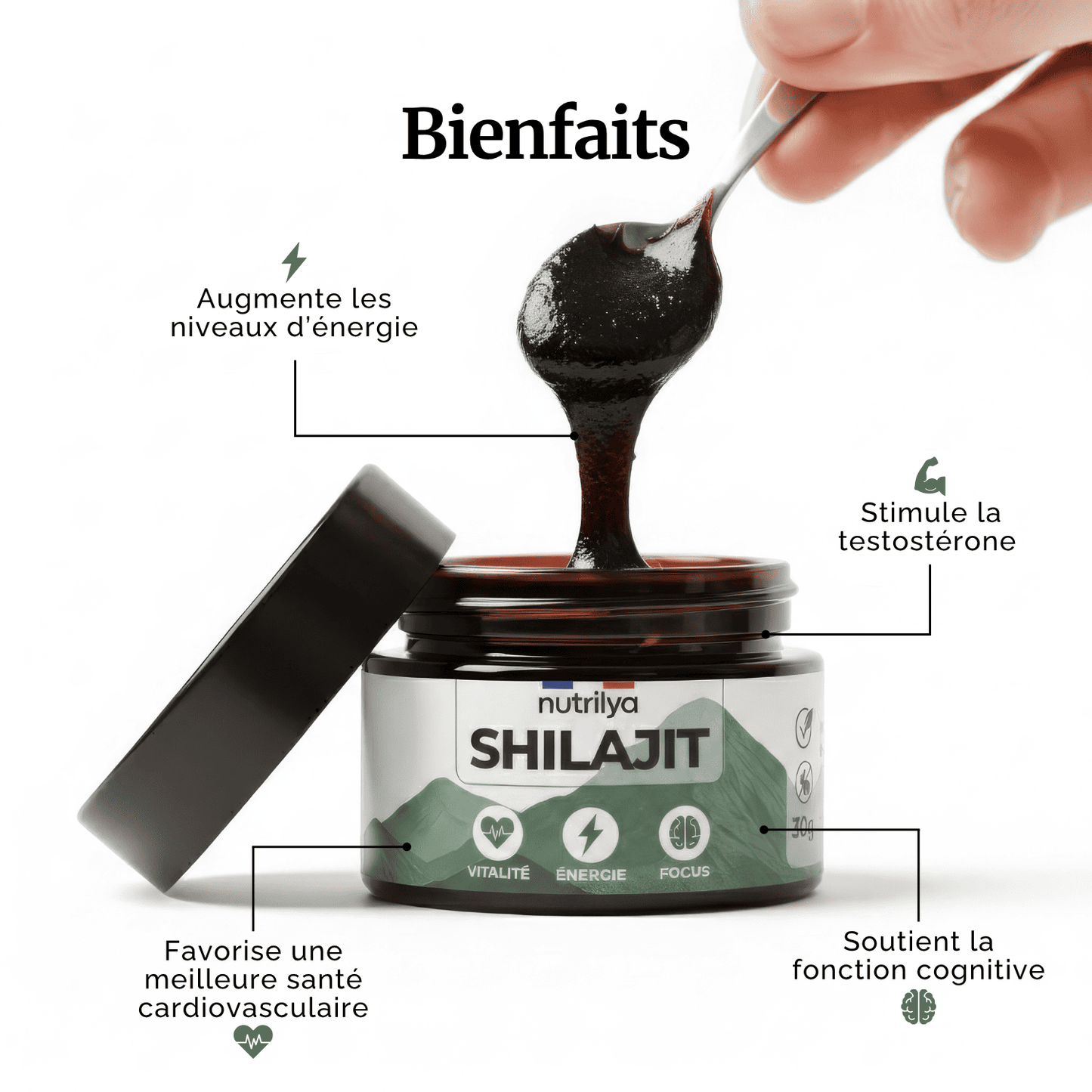 Shilajit Résine 30g