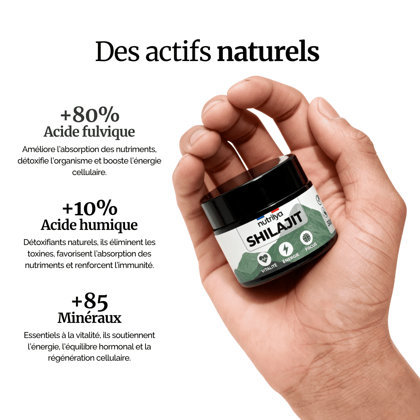 Shilajit Résine 30g