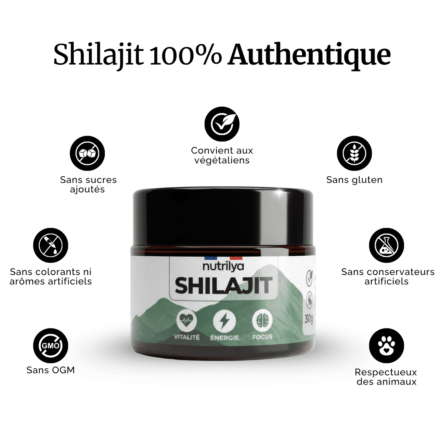 Shilajit Résine 30g