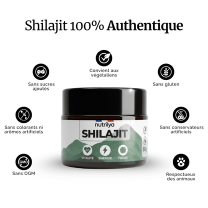 Shilajit Résine 30g