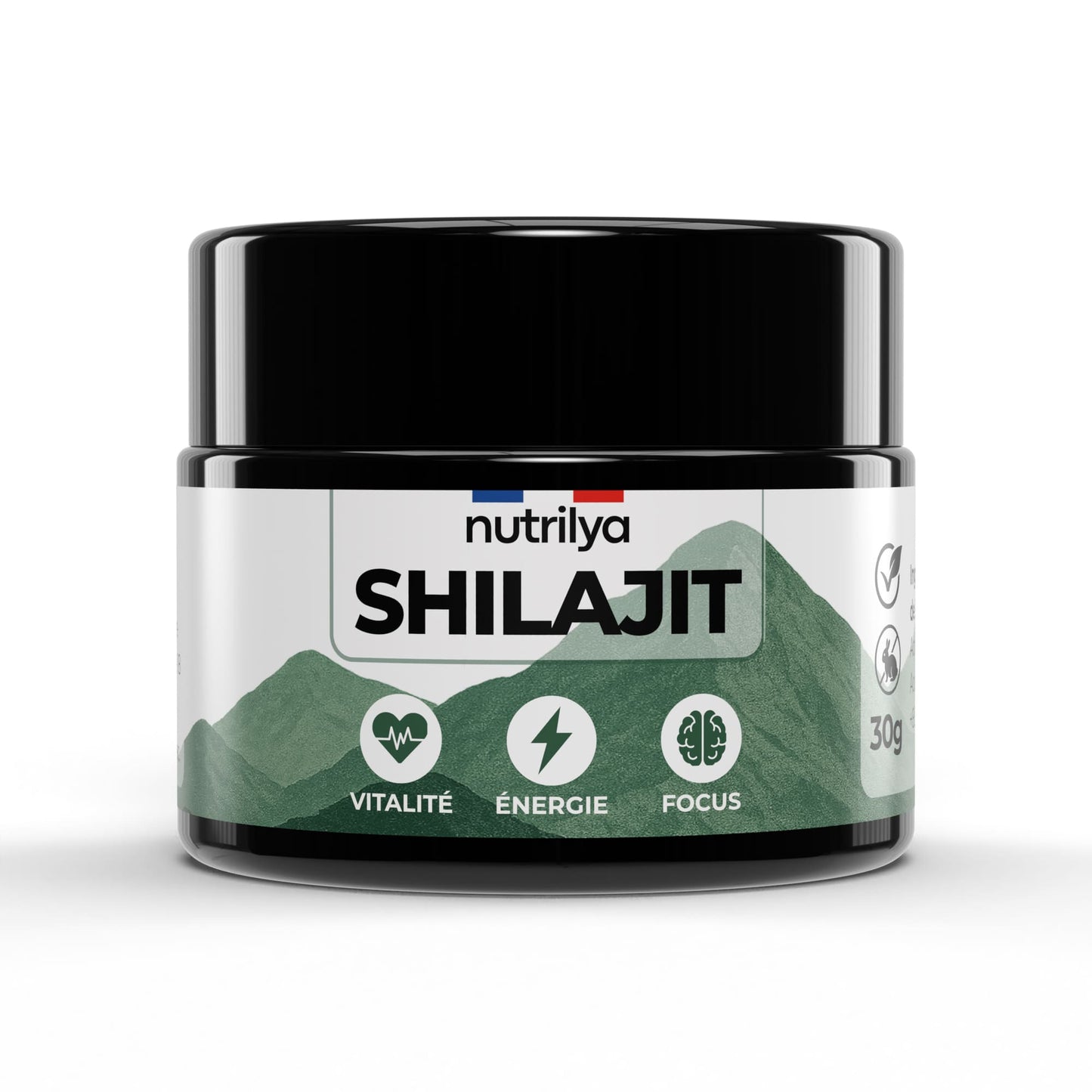 Shilajit Résine