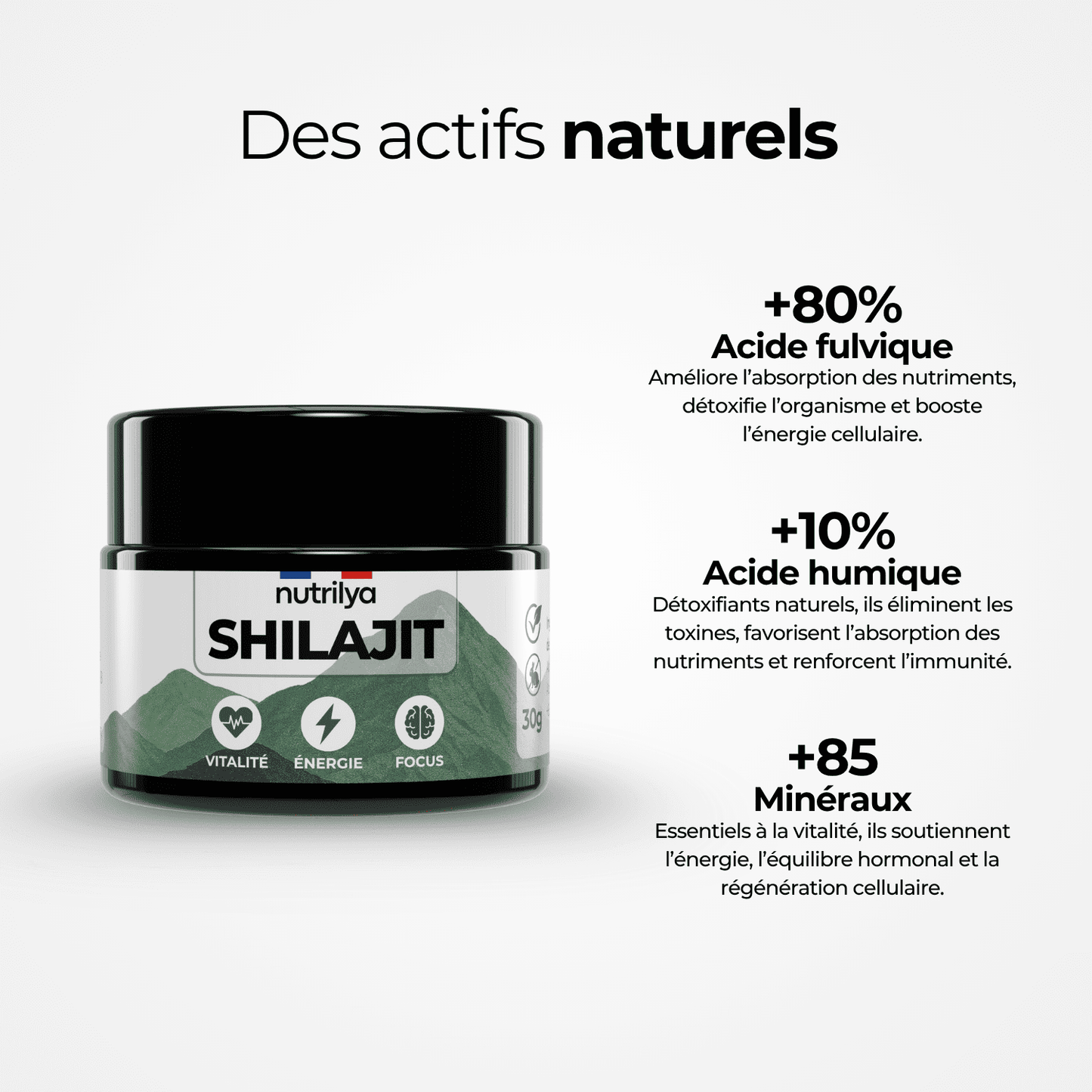 Shilajit Résine 30g